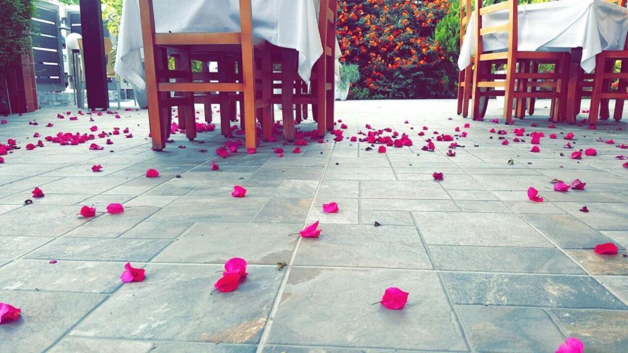 Dhima Hotel Himare Exterior photo
