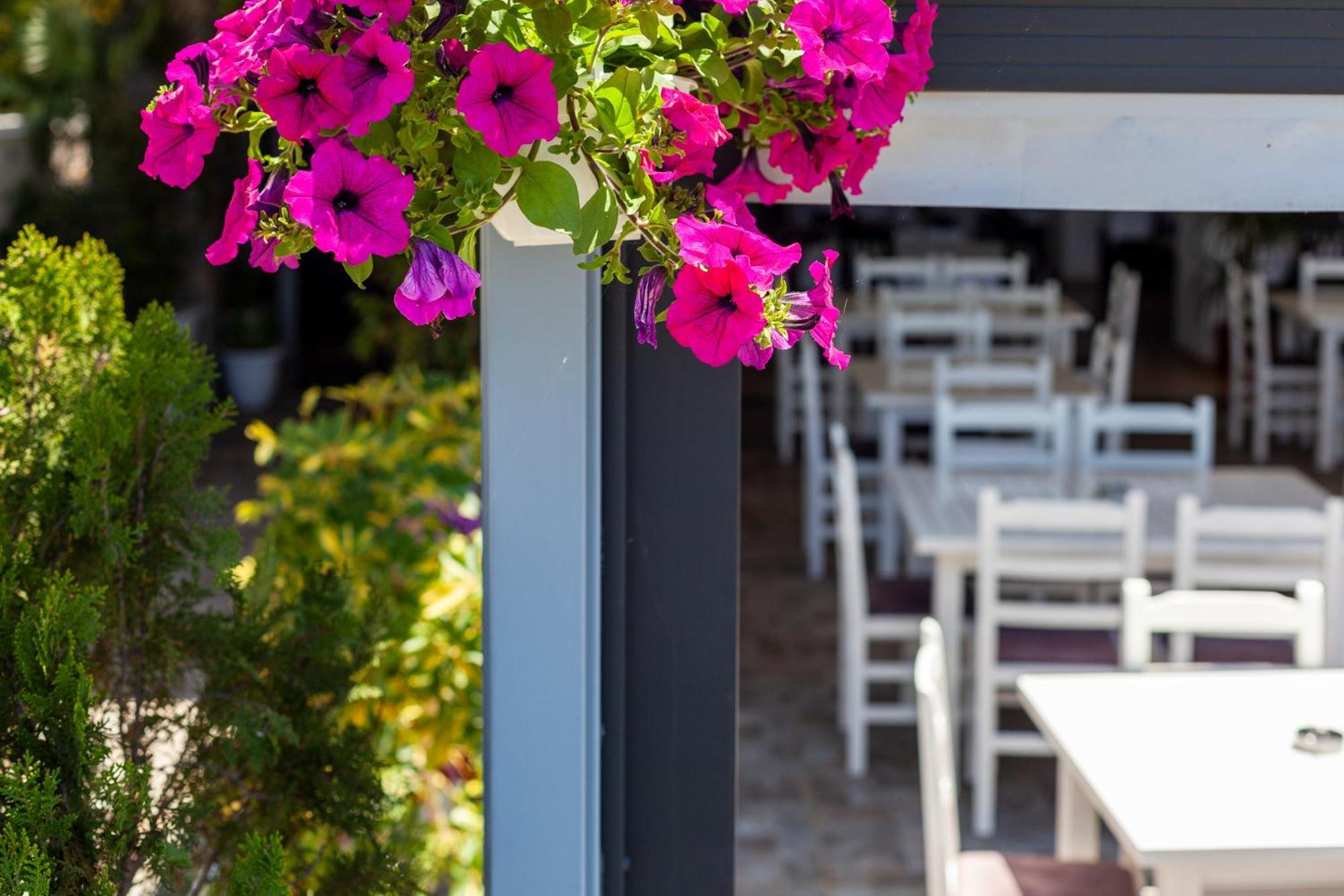 Dhima Hotel Himare Exterior photo