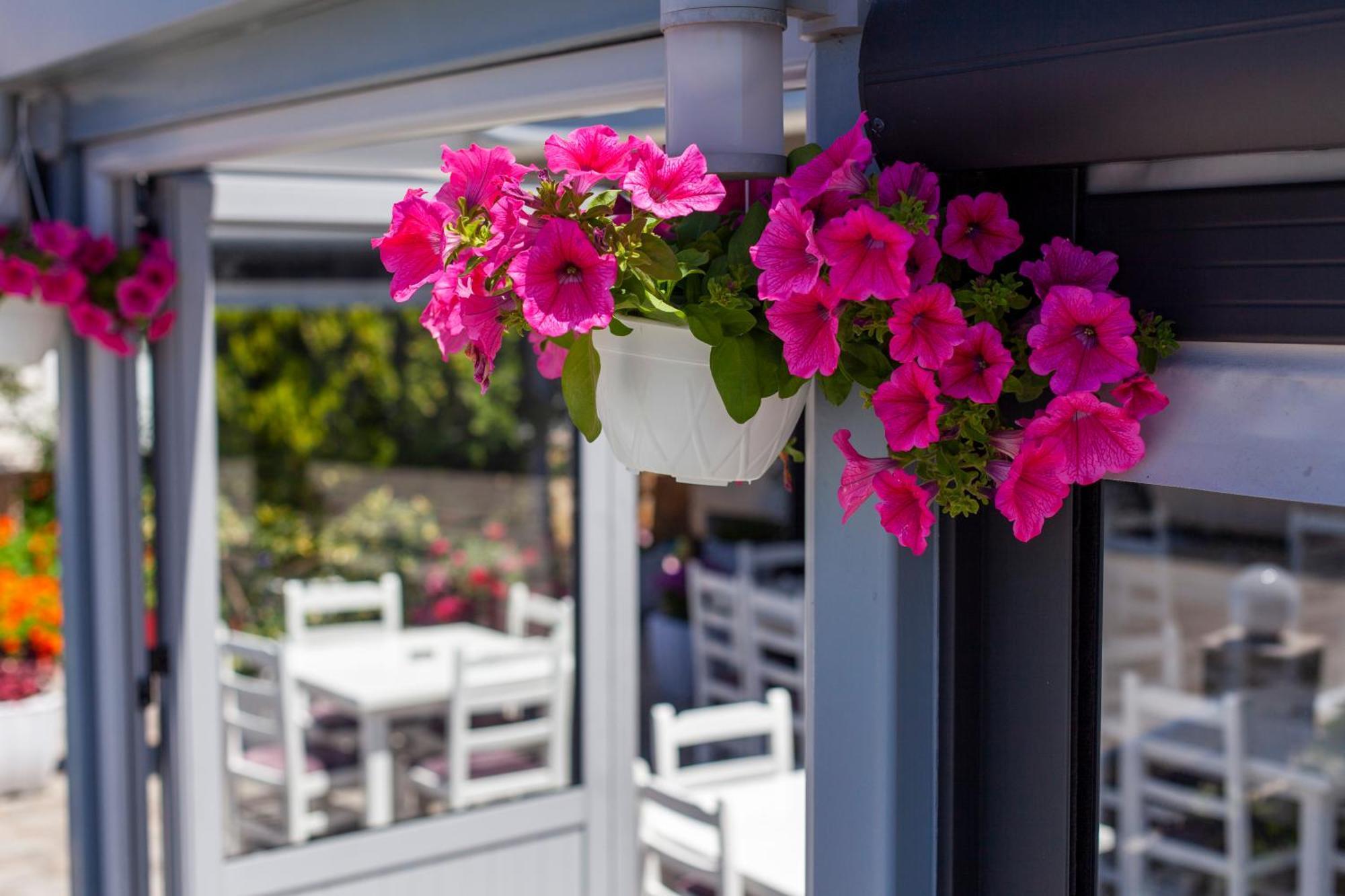Dhima Hotel Himare Exterior photo
